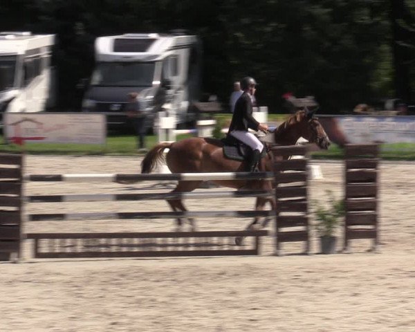 Reitturnier Pietzpuhl 2023