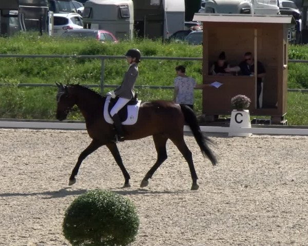 Reitturnier Werdenberg 2023