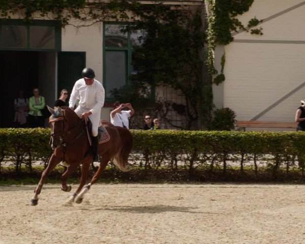 Reitturnier St.Wendel, Gestüt Welvert 2023