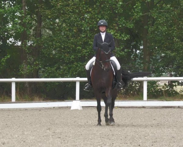 Reitturnier Zillhofen/Obb. 2023