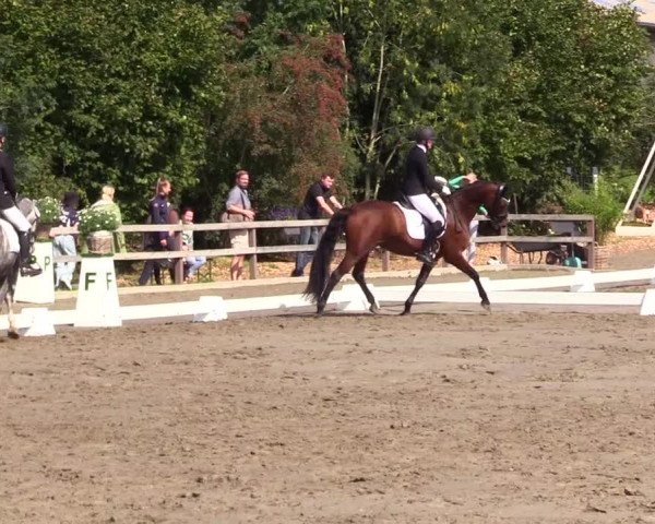 Reitturnier Kleinsolt 2023