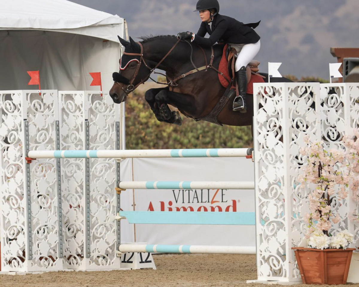 Springpferd Ce Ce Senior (Deutsches Sportpferd, 2009, von Captain Fire)