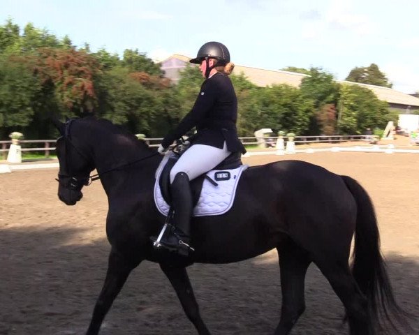Reitturnier Kleinsolt 2023