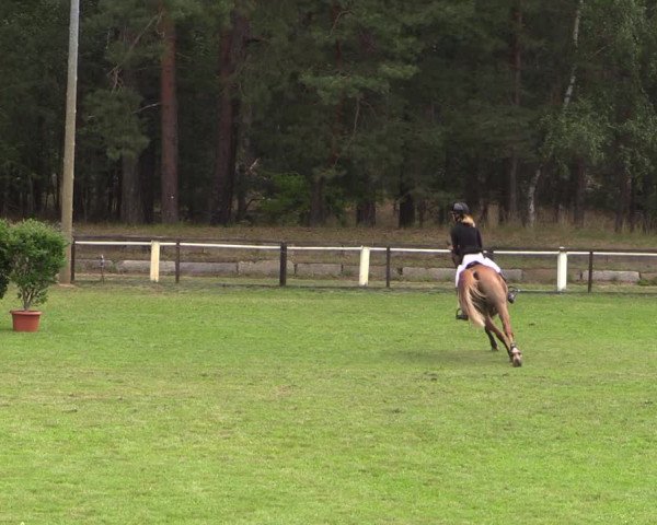 Reitturnier Cottbus-Sielow 2023