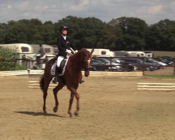 Reitturnier Ostbevern 2023