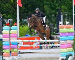 jumper Palo Cortado Sc (Cruzado-Espanol, 2017, from Grand Slam VDL)