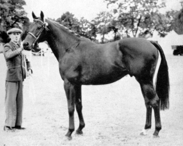 stallion Gay Presto xx (Thoroughbred, 1944, from Precipitation xx)