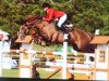 stallion Ideal du Pichoux (Swiss Warmblood, 1997, from Irac de l'Ile)