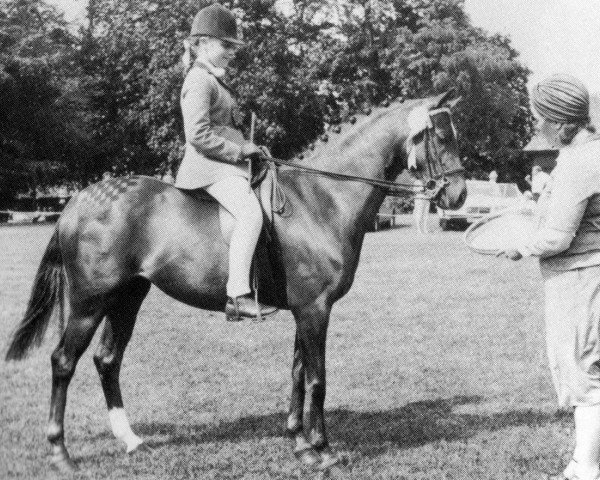 Zuchtstute Whalton Charisma (British Riding Pony, 1977, von Yealand Nemesis)