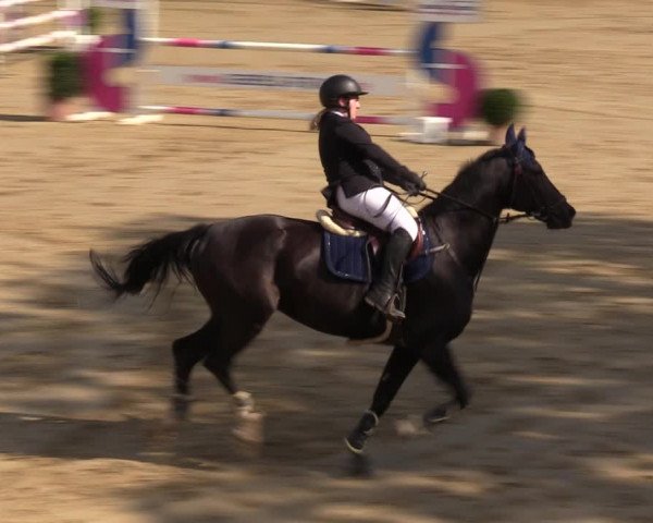 Reitturnier Viersen-Dülken 2023