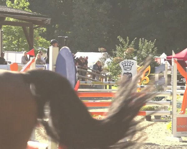 Reitturnier Solingen 2023