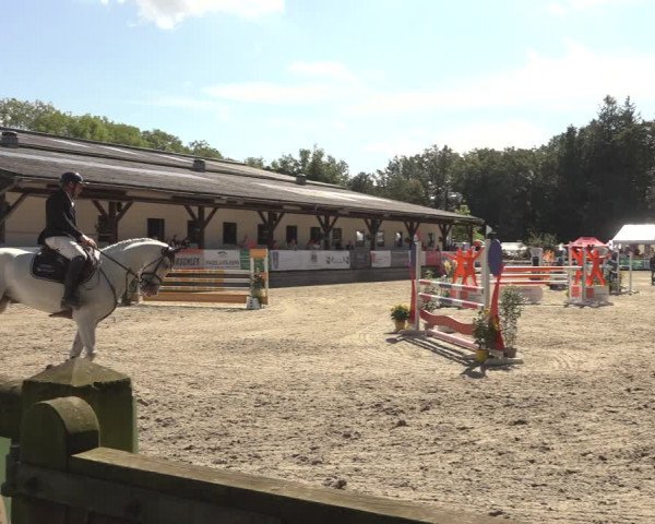 Reitturnier Solingen 2023