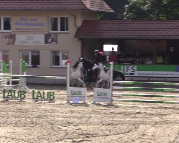Reitturnier Lgl.-Oberhain, B95 2021