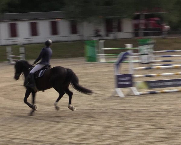 Reitturnier Lgl.-Oberhain, B95 2021