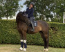 dressage horse Silas (Trakehner, 2008, from Herzensdieb)