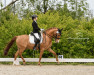 dressage horse D'Johnny (German Riding Pony, 2006, from FS Don't Worry)