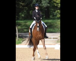 dressage horse Dismero K (Hanoverian, 2014, from Deveraux 3)