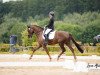 dressage horse Bommerlunder 4 (Westphalian, 2017, from Baccardi)