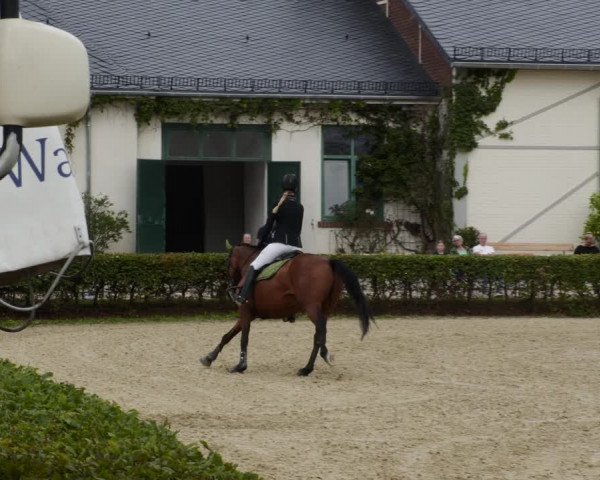 Reitturnier St.Wendel, Gestüt Welvert 2023