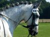 dressage horse Madrileno 3 (Pura Raza Espanola (PRE), 2007, from Jubiloso XII)