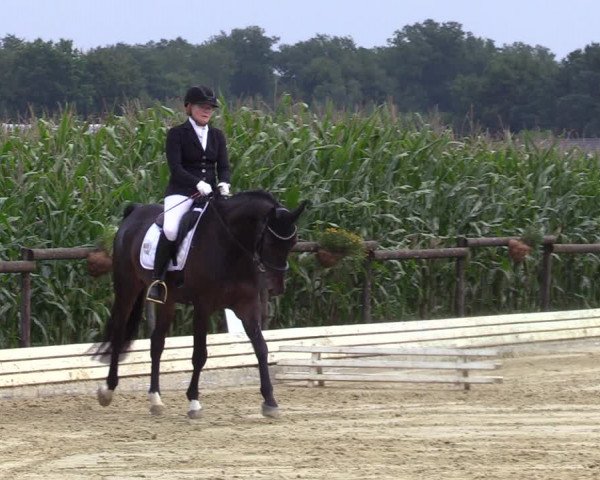 Reitturnier Ostbevern 2023
