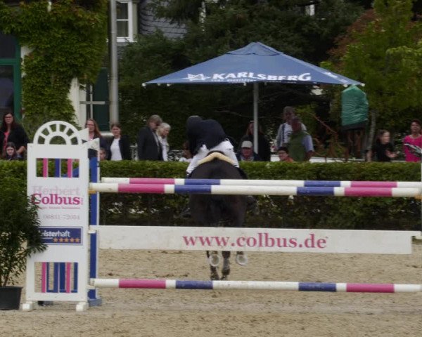 Reitturnier St.Wendel, Gestüt Welvert 2023