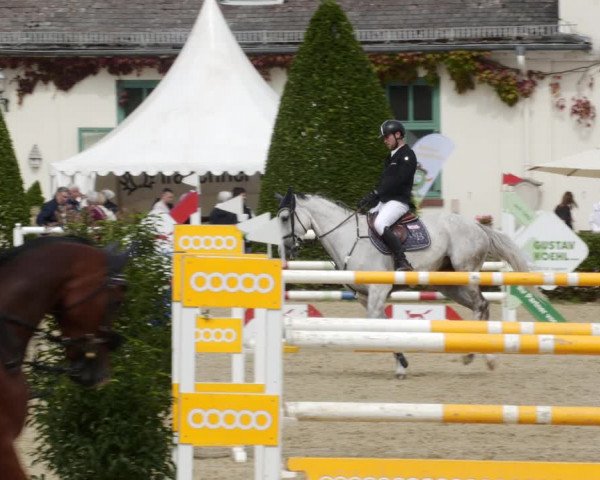Reitturnier St.Wendel, Gestüt Welvert 2023