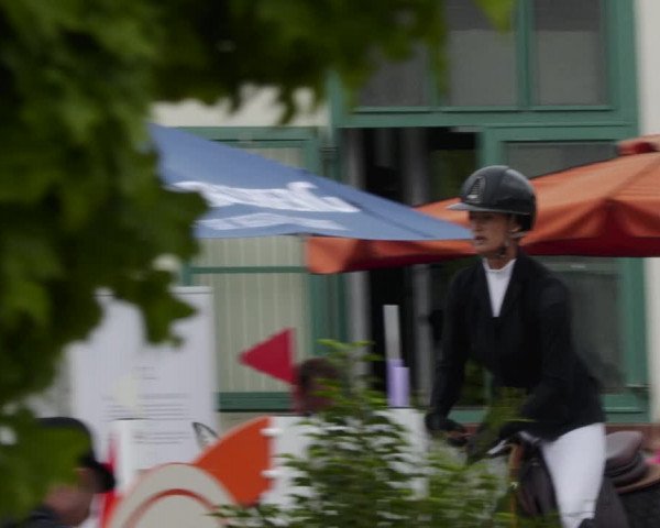 Reitturnier St.Wendel, Gestüt Welvert 2023