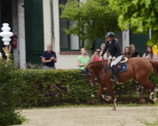 Reitturnier St.Wendel, Gestüt Welvert 2023