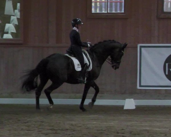 Reitturnier Zillhofen/Obb. 2023
