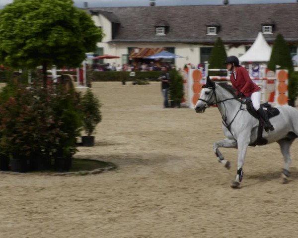 Reitturnier St.Wendel, Gestüt Welvert 2023
