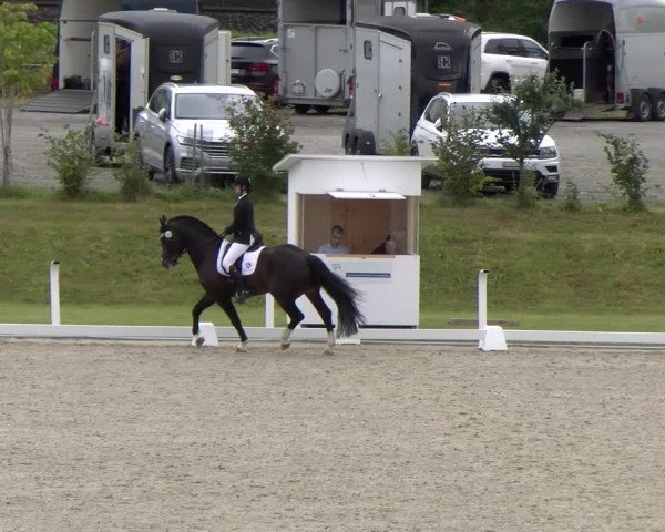Reitturnier Bülach 2023