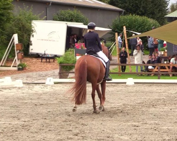 Reitturnier Kleinsolt 2023