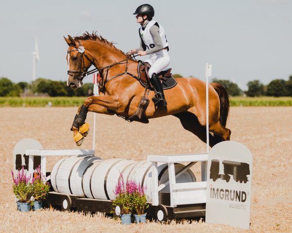 dressage horse Kiyani AR (Trakehner, 2014, from Phlox)