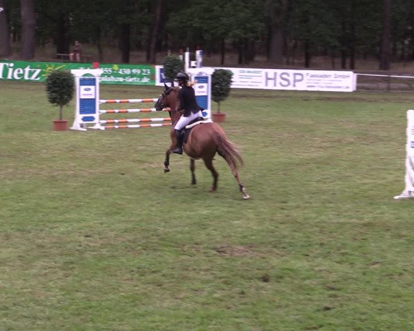 Reitturnier Cottbus-Sielow 2023