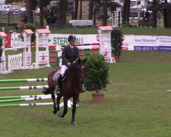 Reitturnier Cottbus-Sielow 2023