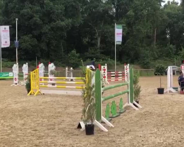 Video of Qwendoline
