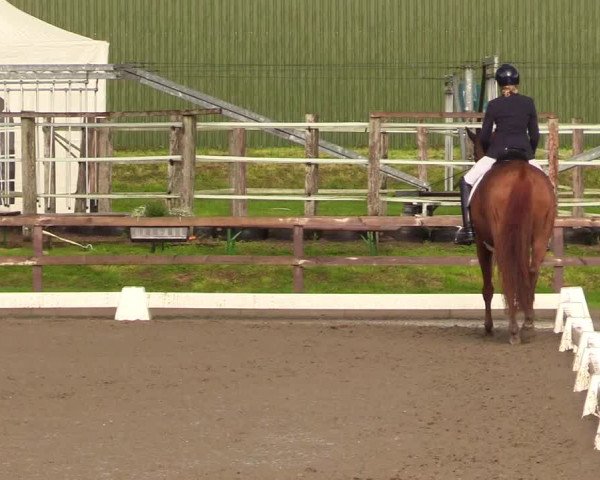 Reitturnier Kleinsolt 2023