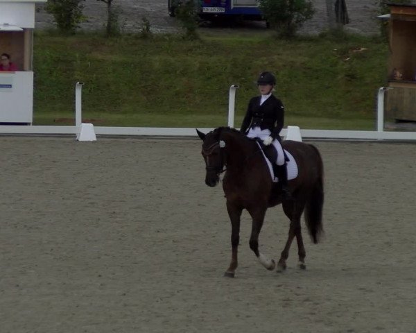 Reitturnier Bülach 2023