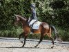 dressage horse Hummeltanz (Trakehner, 2016, from Insterburg TSF)