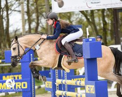 broodmare Curitiba (German Riding Pony, 2010, from FS Champion de Luxe)