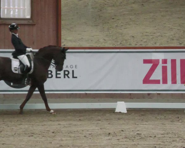 Reitturnier Zillhofen/Obb. 2023