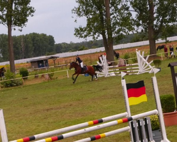 Reitturnier Reckahn 2023