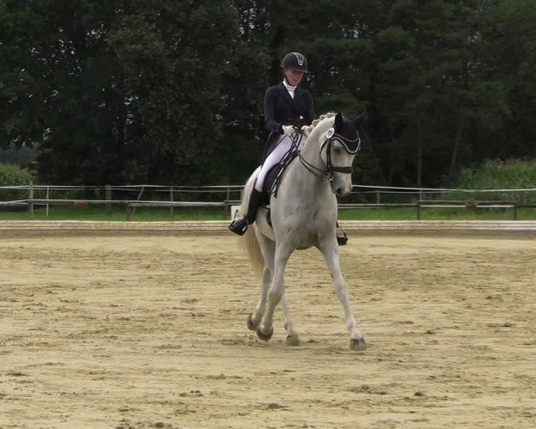 Reitturnier Ostbevern 2023