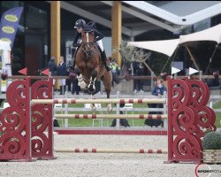 Springpferd Karrabas v/d Mishagen (Belgisches Warmblut, 2010, von Erco van het Roosakker)