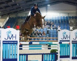 stallion Mithras de Regor (Belgian Warmblood, 2012, from Elvis Ter Putte)