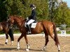 dressage horse Vita Dance II (Hanoverian, 2019, from Vitalis)