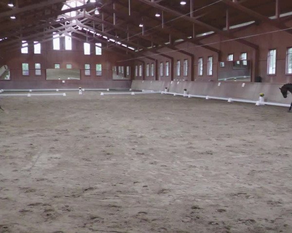 Reitturnier Zillhofen/Obb. 2023
