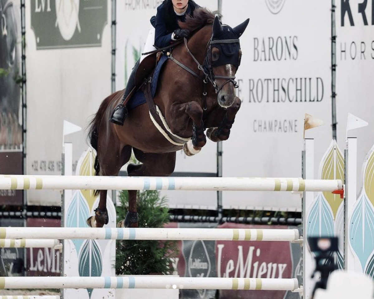 jumper Mito vd Zilverenhoek (Belgian Warmblood, 2012, from Mylord Carthago)
