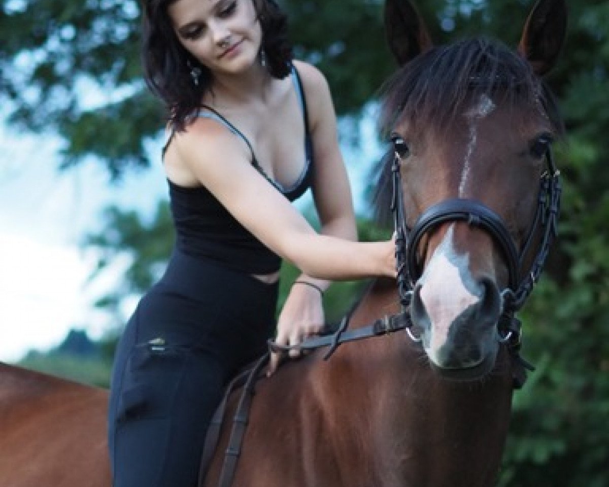 horse Navidad (Thoroughbred, 2016, from Royal Lord)